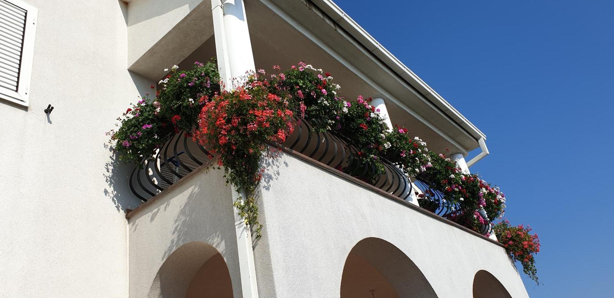 Eko Eko Apartment Rijeka Exterior photo